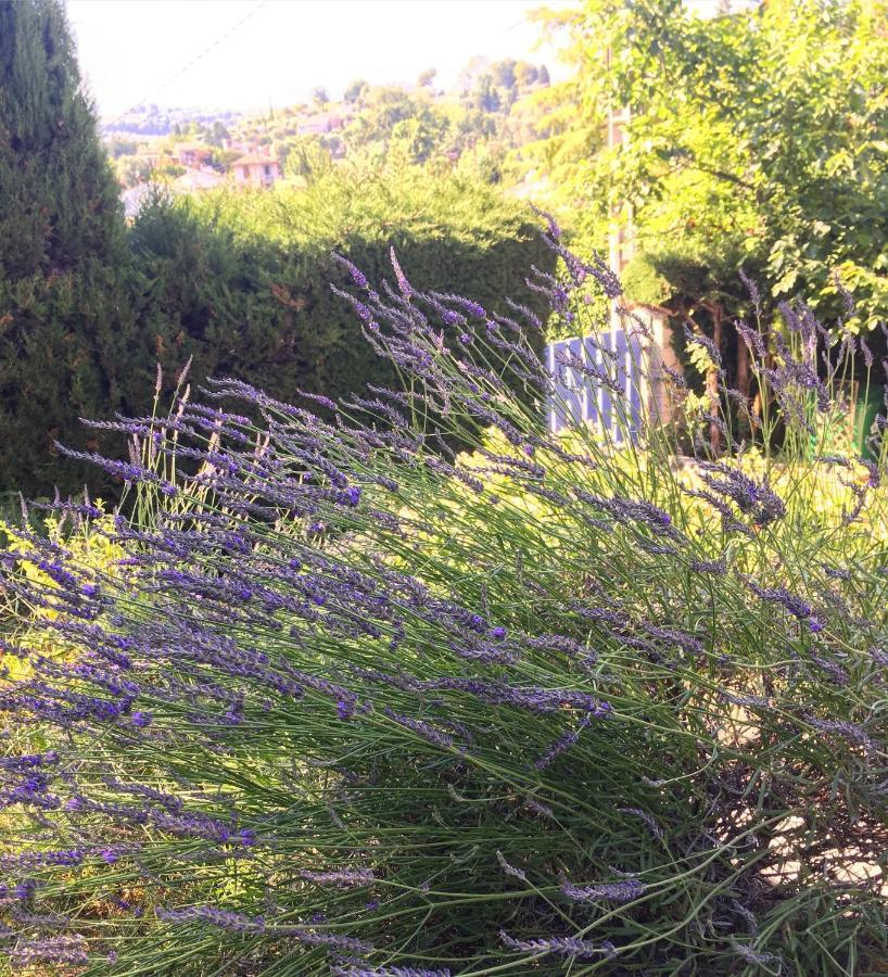 Bed and Breakfast Maison Le Retour Le Rouret Exterior foto